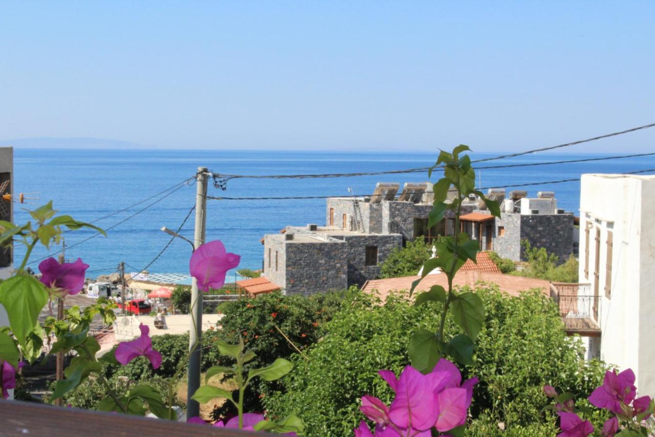 Garden House Daire Khóra Sfakíon Dış mekan fotoğraf