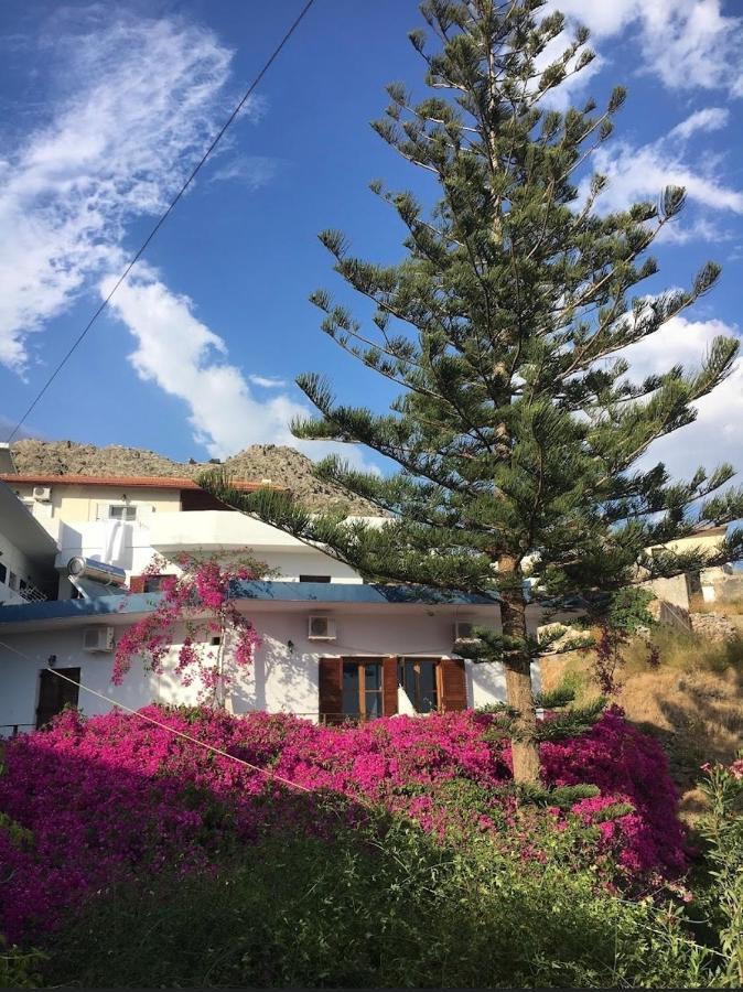 Garden House Daire Khóra Sfakíon Dış mekan fotoğraf